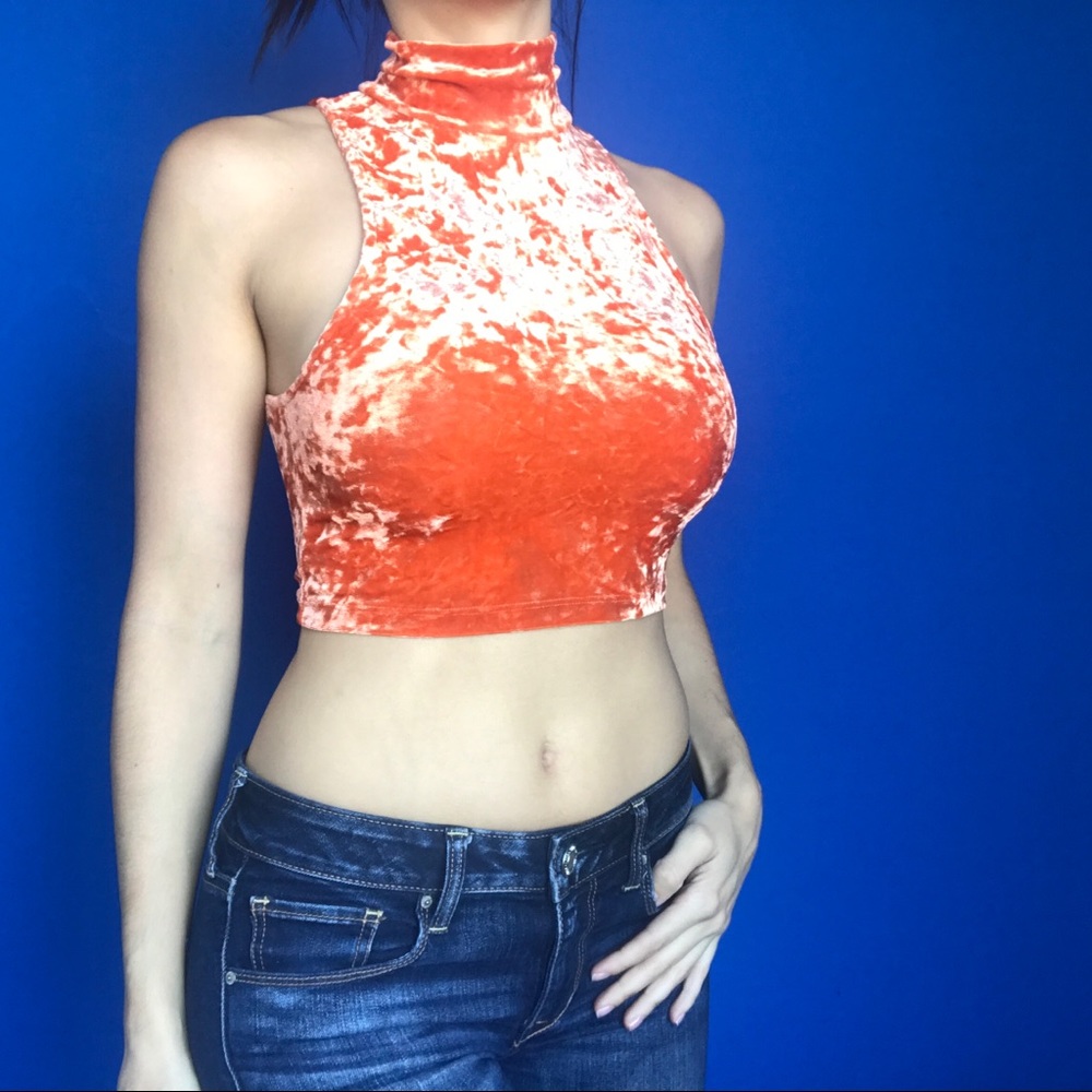 Crushed Velvet Turtleneck Crop